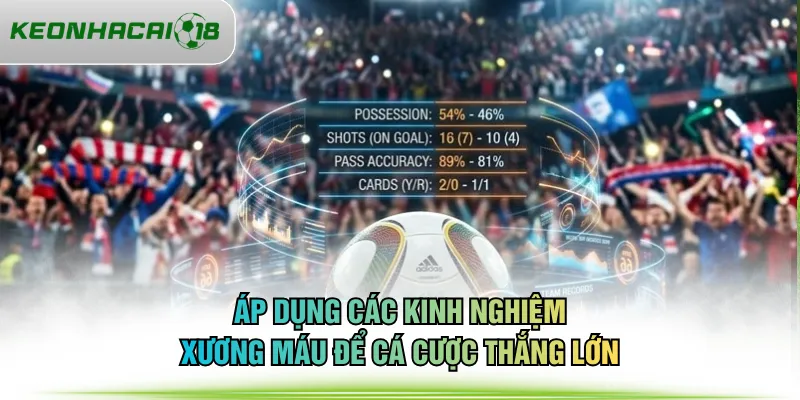 Áp dụng các kinh nghiệm xương máu để cá cược thắng lớn