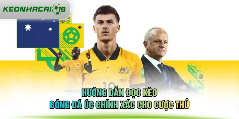 Hướng dẫn đọc kèo bóng đá Úc chính xác cho cược thủ